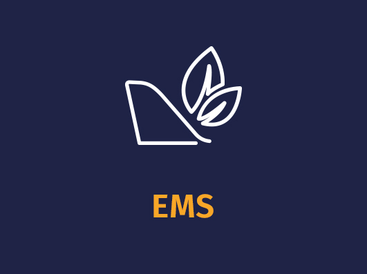 EMS